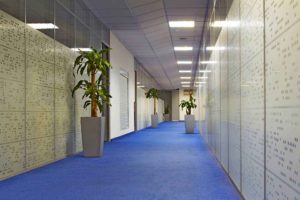 biuro-wykladzina-korytarz-int2-300x200